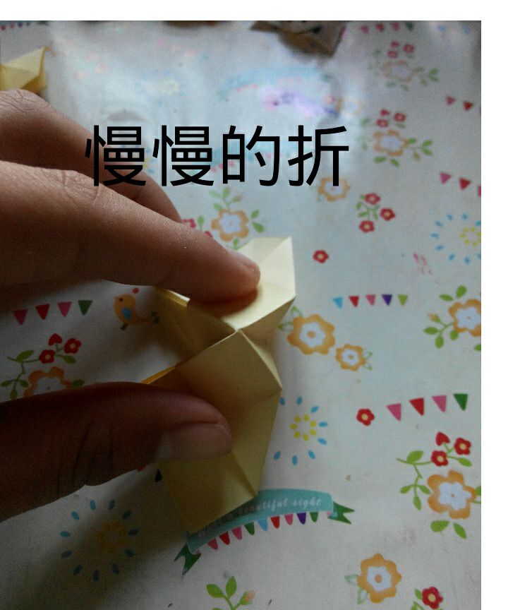 美腻的∠※花儿 第6步