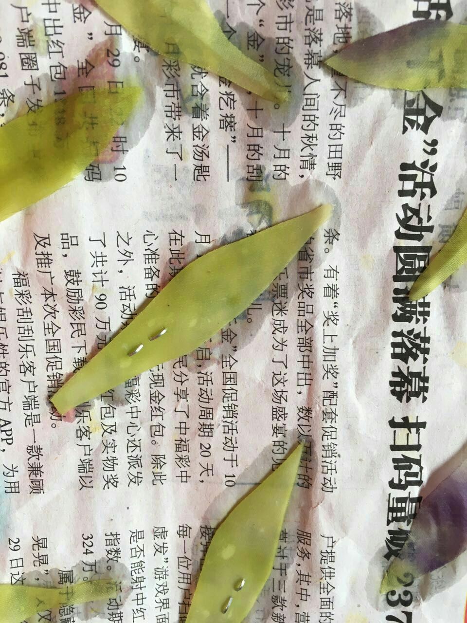 烫花-康乃馨 第7步