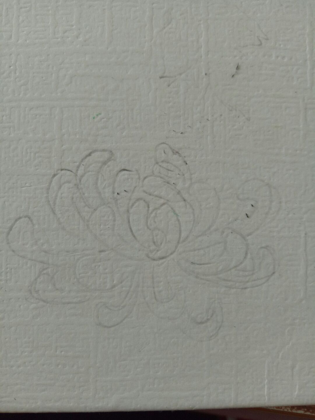 超轻粘土·菊 第12步