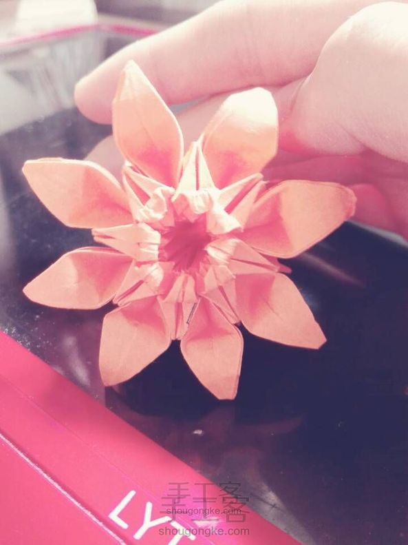 【慕雪】一起来做一款美哒哒的菊花吧!
