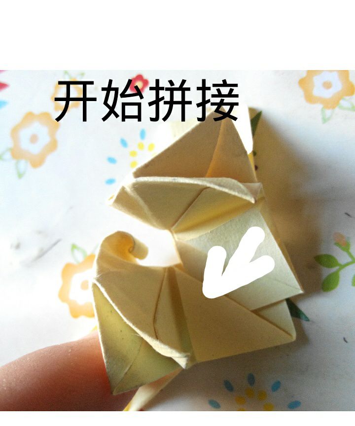 美腻的∠※花儿 第25步