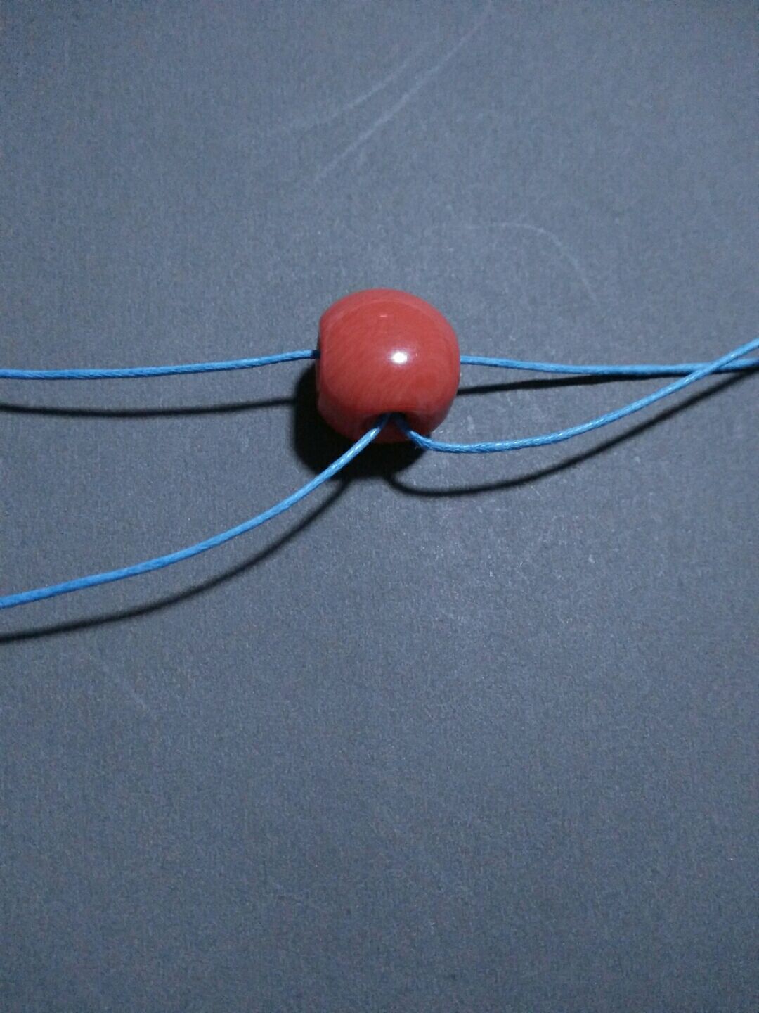 蓝蝶 第1步
