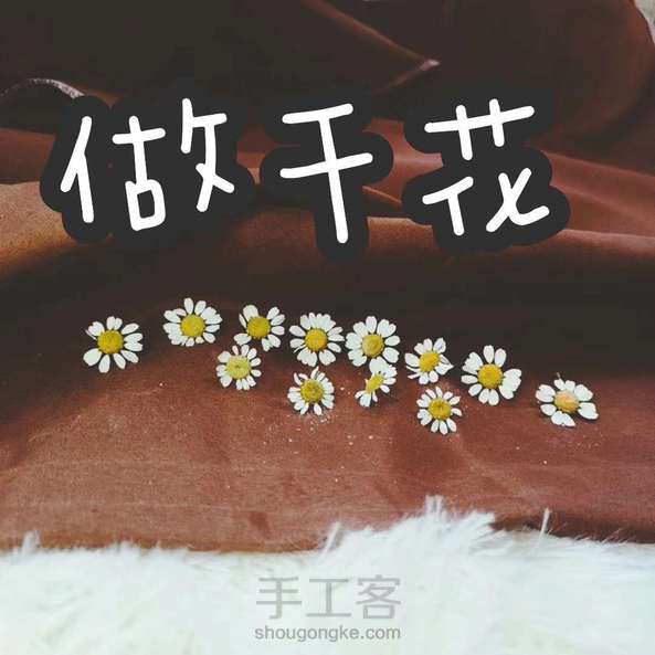 鲜花做成干花之后还可以做……