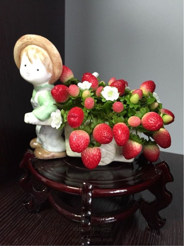 面包花卉粘土教程—草莓