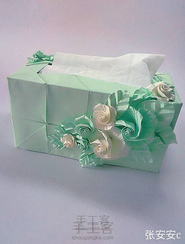 韩式纸巾盒🌴