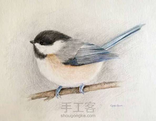 【颖】画一个可爱的小鸟