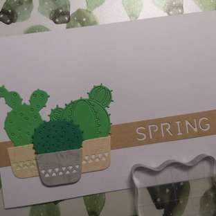 给春天添一抹绿 卡片 043