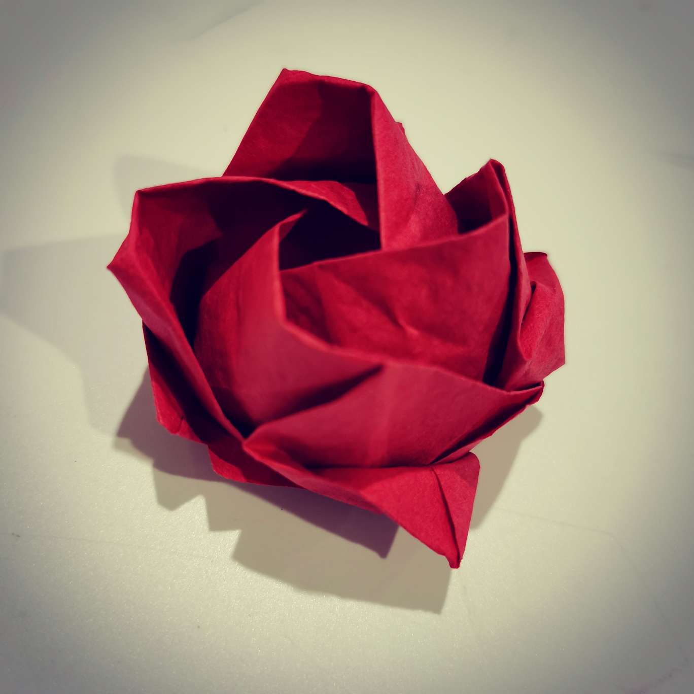 正方形纸，一个简单的玫瑰