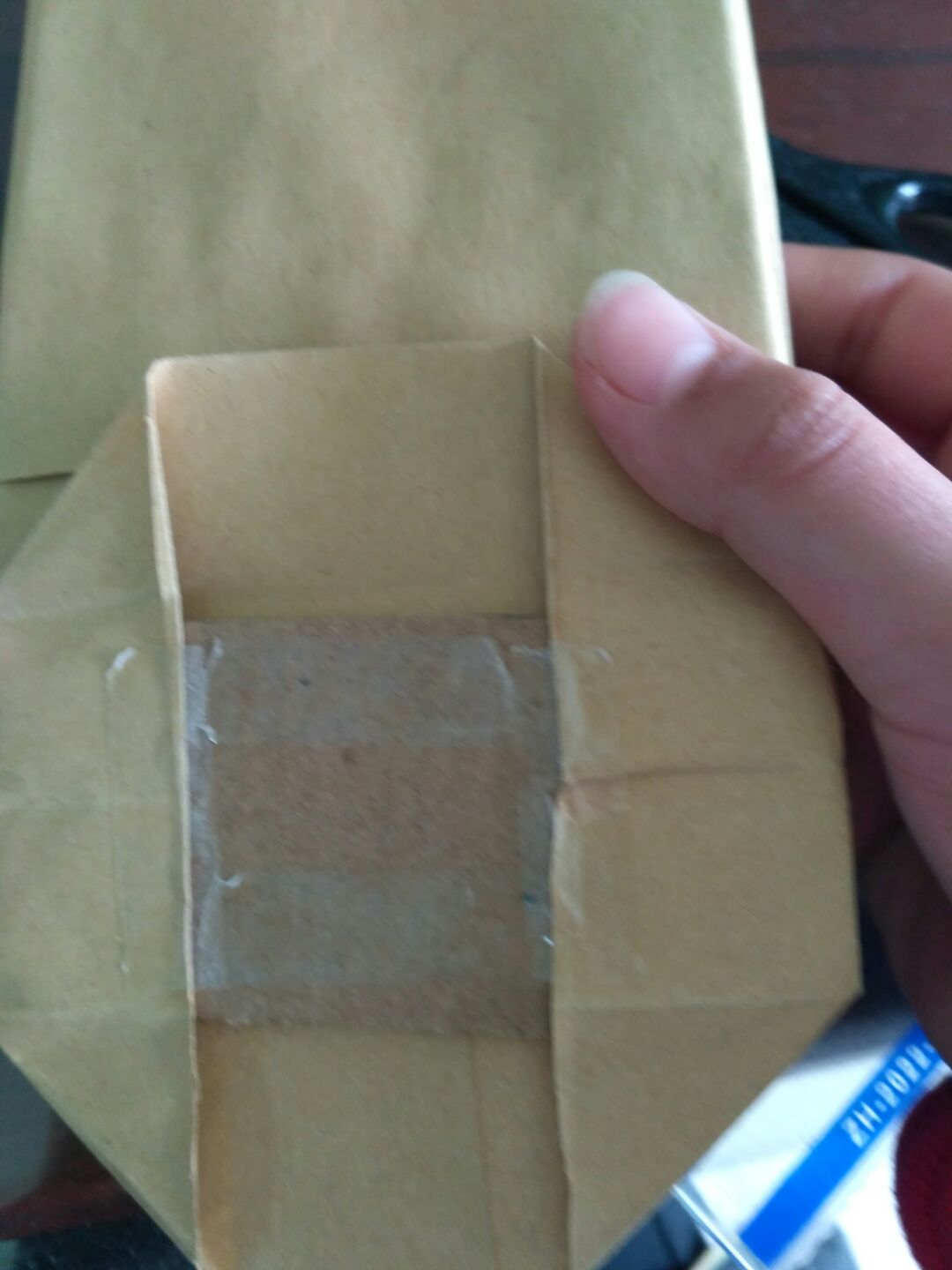 漂亮的牛皮纸包装袋。 第23步