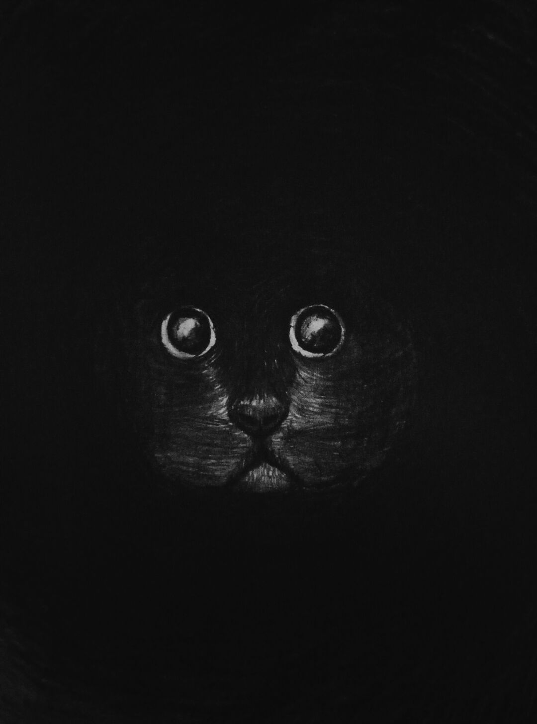 画一只小黑猫，教程简单，
大家能看懂就好。