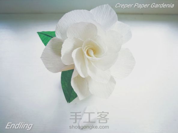 Crepe Paper Gardenia——栀子花开(纸藤)