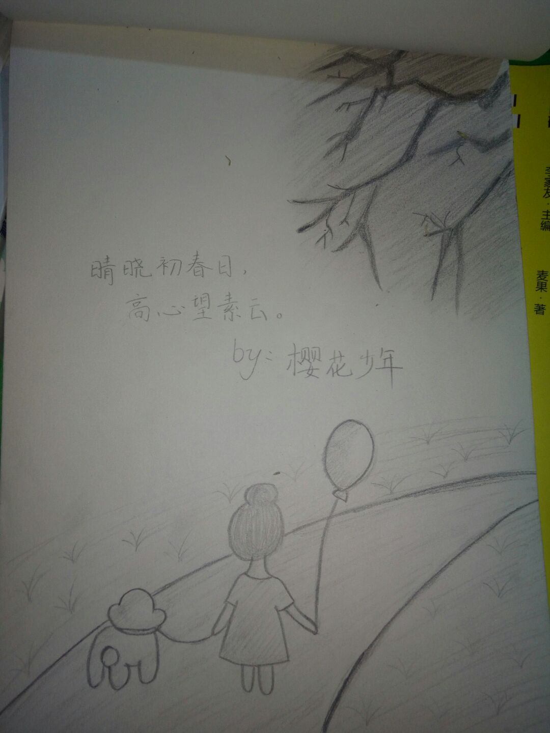 风景唯美画 第9步