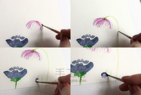 手绘水彩花  教程 第5步