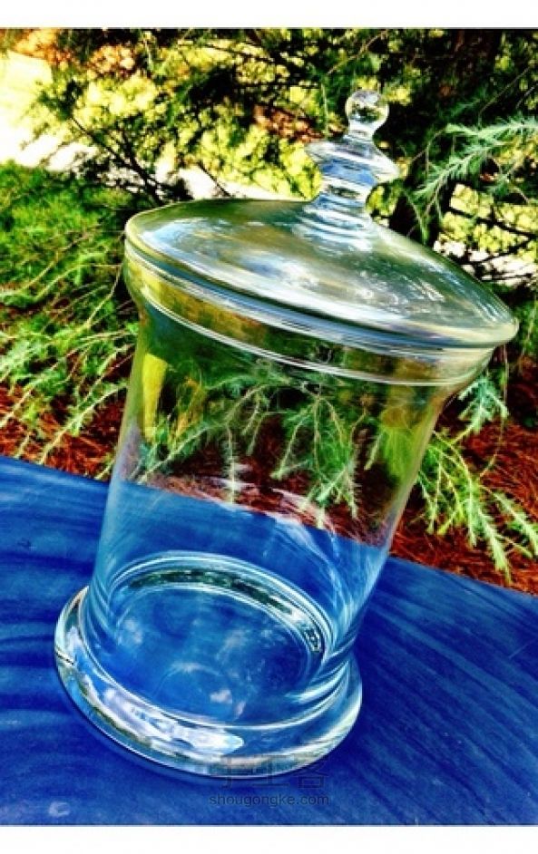 DIY 水晶玻璃球盆栽 第2步
