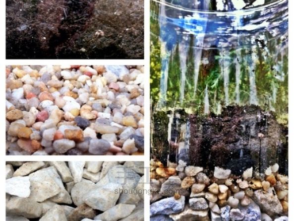 DIY 水晶玻璃球盆栽 第5步