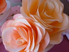 让家中盛开满墙的玫瑰花，可是鲜花易枯萎，实在很头疼。不过我们可以用纸花来解决这个问题，这次DIY的巨型皱纸花非常漂亮！