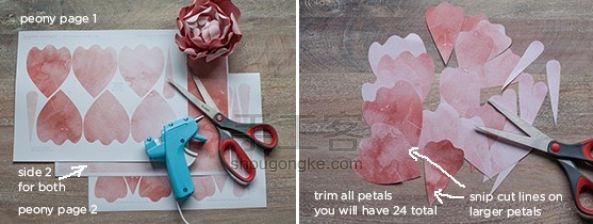 手工diy牡丹纸花教程 第1步
