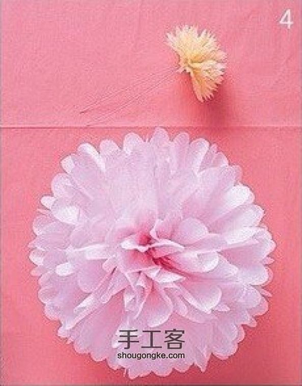 绒球花 第4步