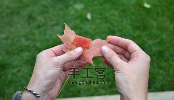 枫叶折玫瑰花手工创意DIY教程 深秋里的一丝浪漫  第2步