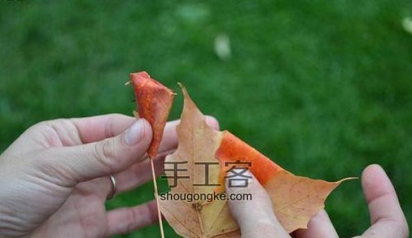 枫叶折玫瑰花手工创意DIY教程 深秋里的一丝浪漫  第3步