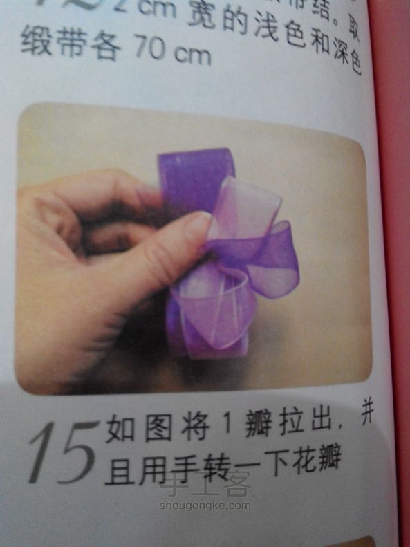 十全十美淡紫玫瑰 第13步