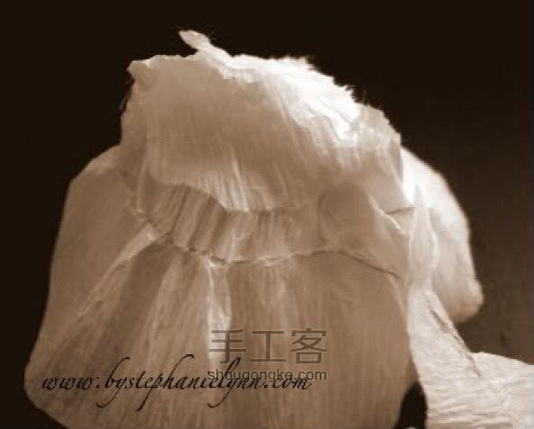 纸玫瑰做法——用卫生纸折玫瑰花 第6步