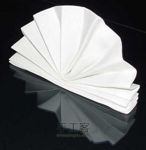 餐巾纸的折叠--扇子 第7步