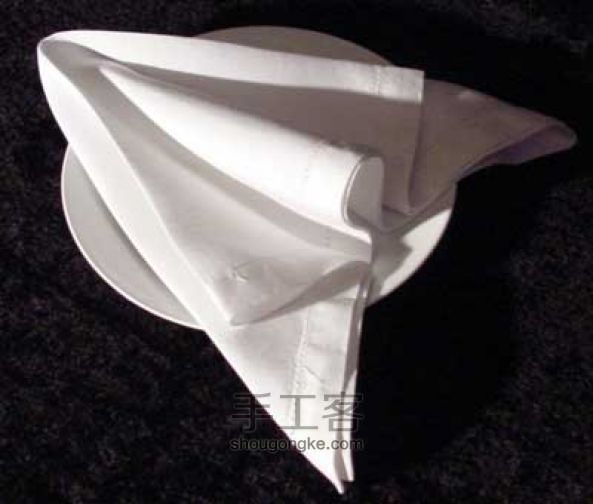 餐巾纸的折叠--箭形 第8步