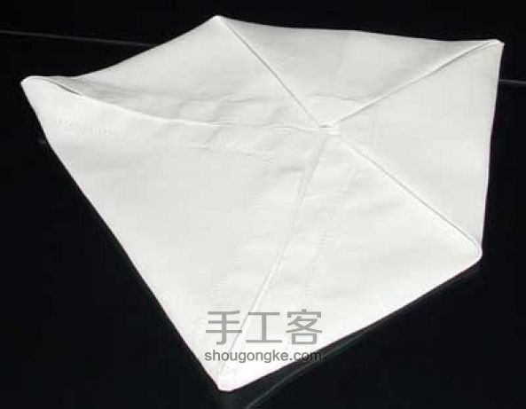 餐巾纸的折叠--莲花 第4步