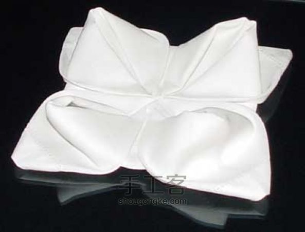 餐巾纸的折叠--莲花 第10步