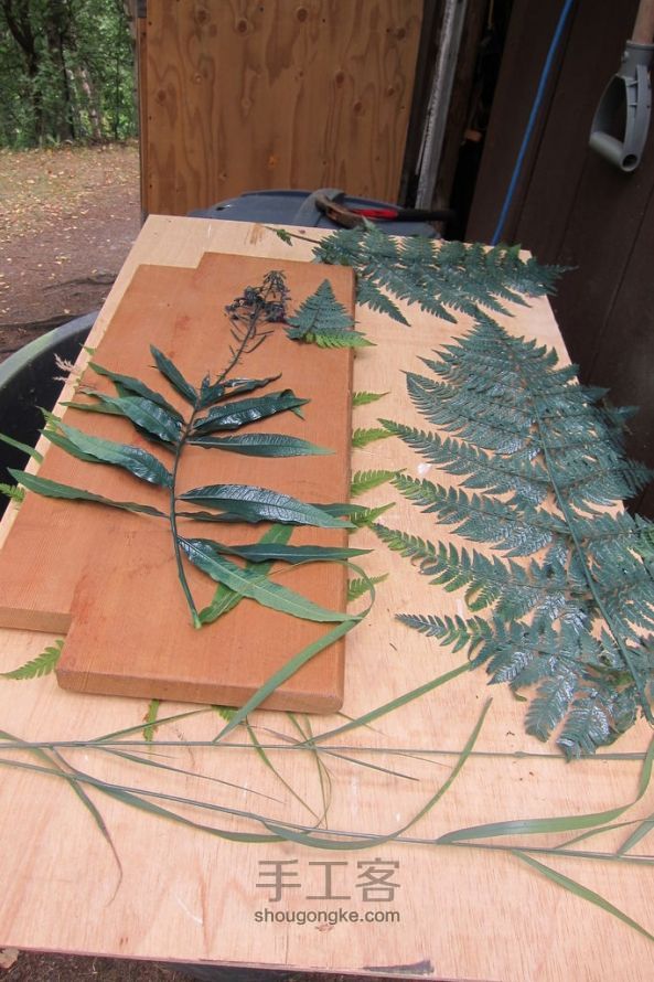 用树叶装饰家居 第3步