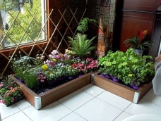自己DIY一个室内小花园