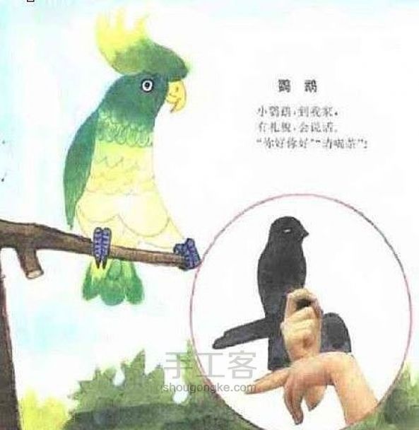 手把手教你做手影表演 第7步