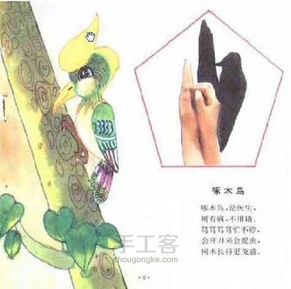 手把手教你做手影表演 第8步