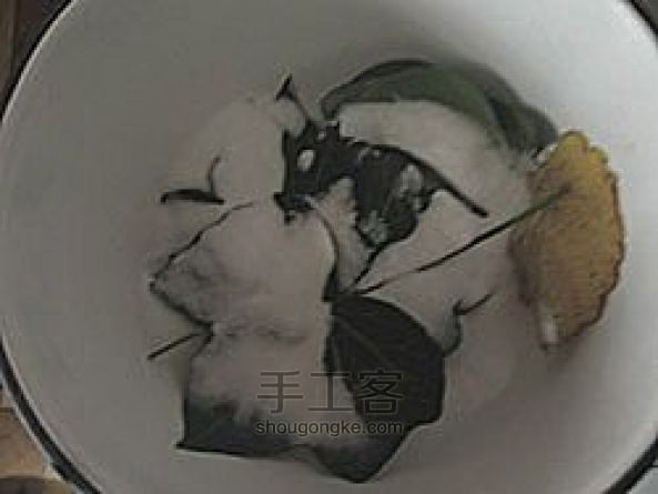 手工自制叶脉相框 第2步