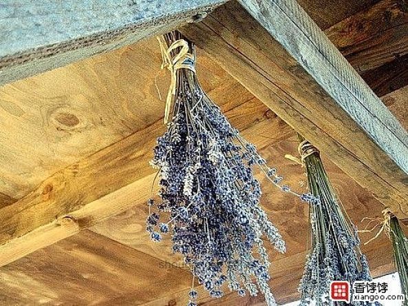 非常简单实用的干花制作方法-鲜花自己制作干花 第1步