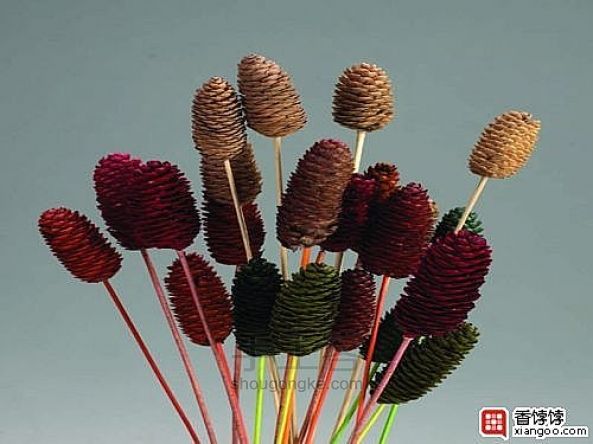 非常简单实用的干花制作方法-鲜花自己制作干花 第3步