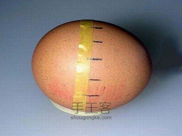 鸡蛋壳制作航模  过程详解 第4步