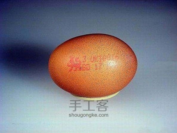 鸡蛋壳制作航模  过程详解 第1步