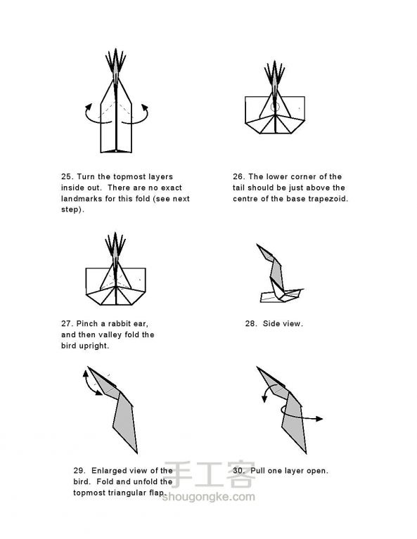 教你一款简单的凤凰折纸方法图解（二） 第5步