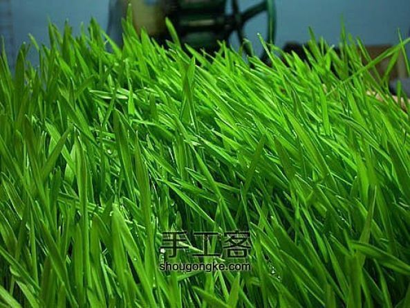 面疙瘩 第1步