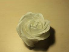 挑战你的极限 欧美玫瑰折纸教程1 请期待2