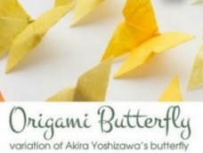一只漂亮的蝴蝶 折纸教程