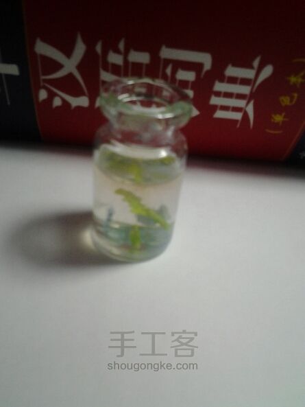 瓶子里的海洋 第10步