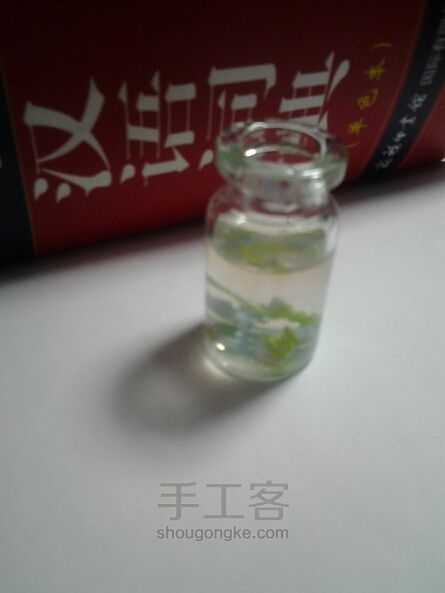 瓶子里的海洋 第11步