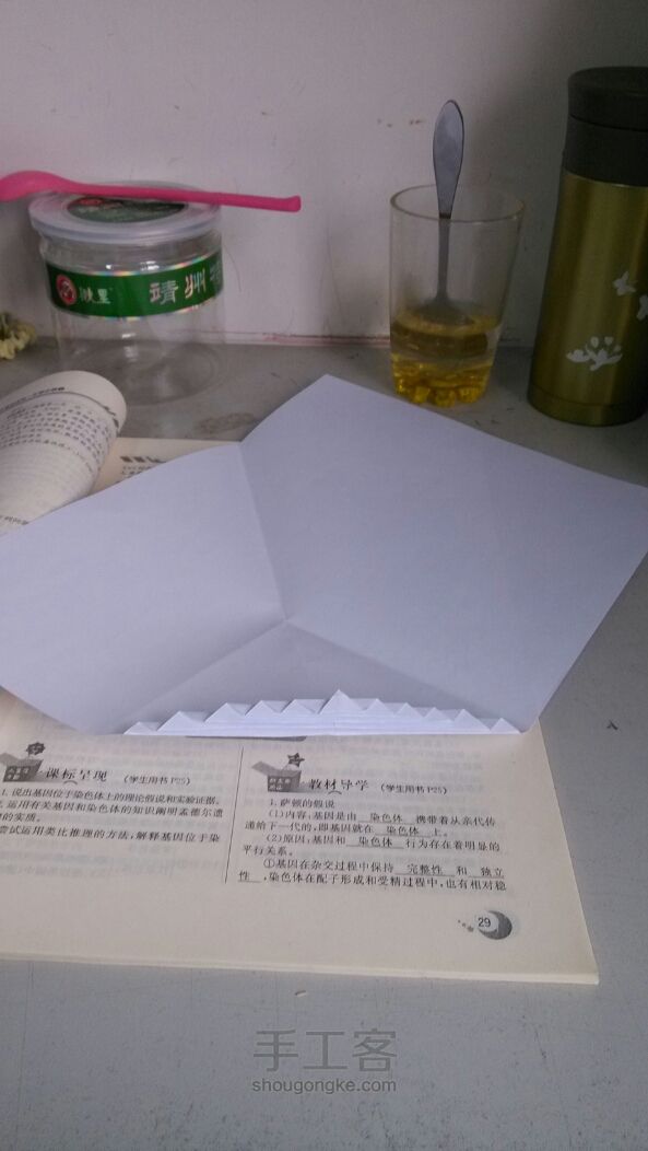相思叶信纸折纸教程 第5步