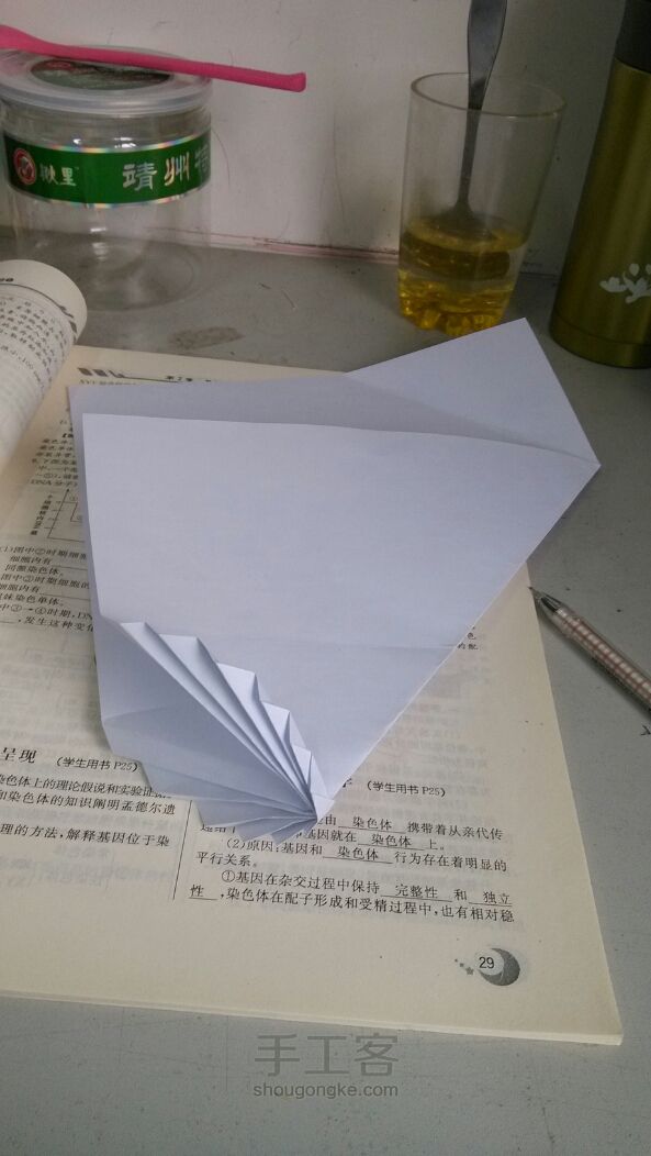 相思叶信纸折纸教程 第6步