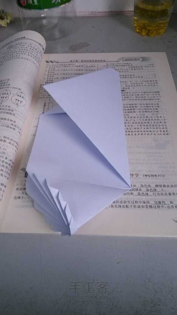 相思叶信纸折纸教程 第8步