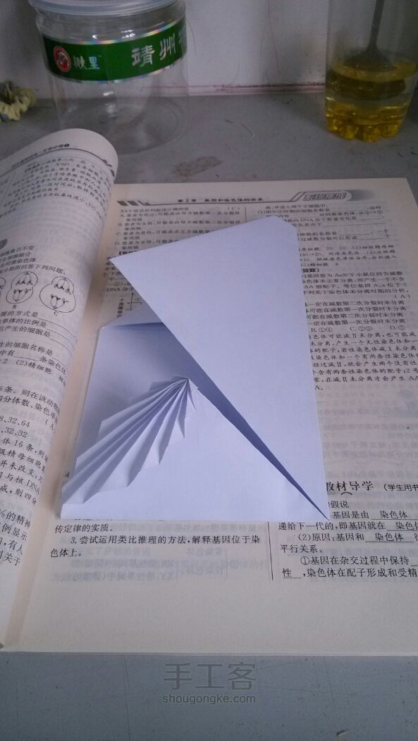 相思叶信纸折纸教程 第9步