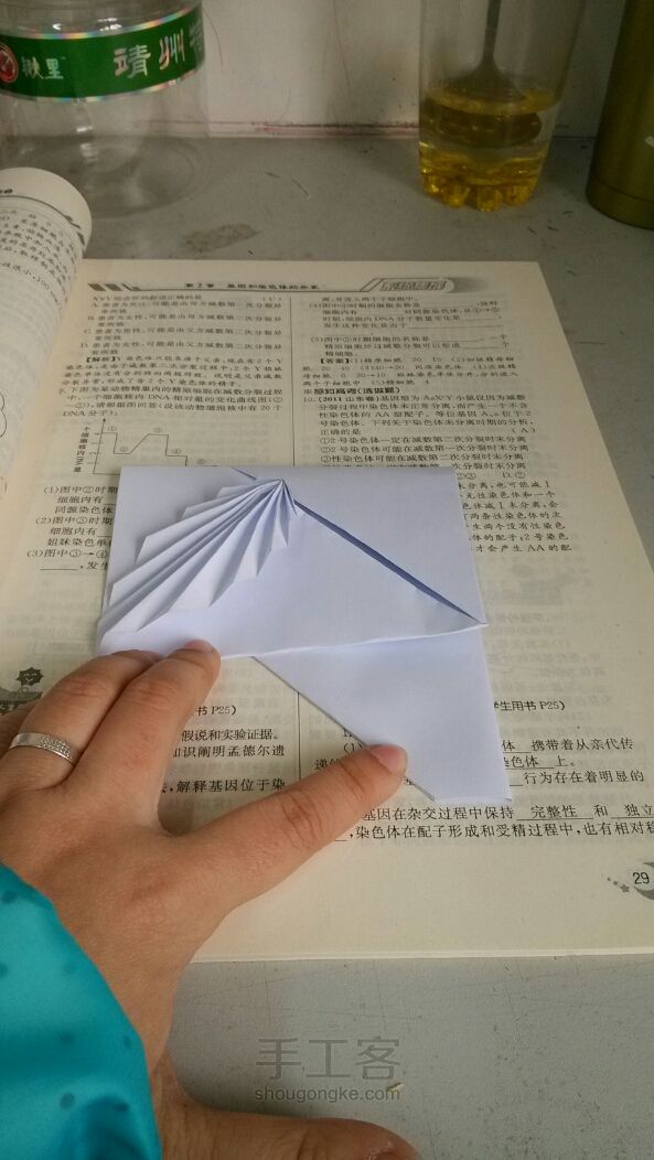 相思叶信纸折纸教程 第10步